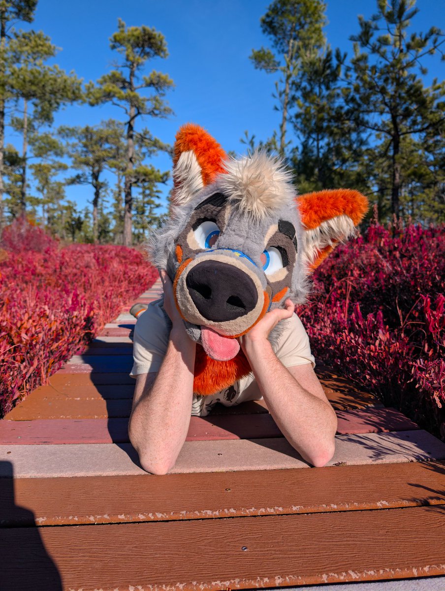 PartDoggo's tweet image. He&apos;s staring at someone very very cute