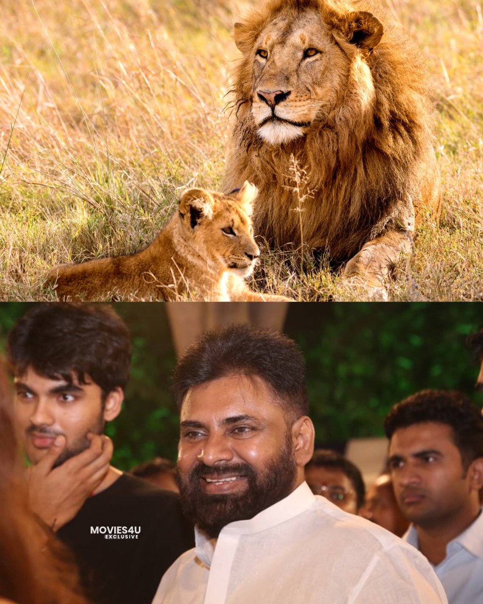 CLOSE ENOUGH 🦁🦁

#PawanKalyan &amp; #AkiraNandan