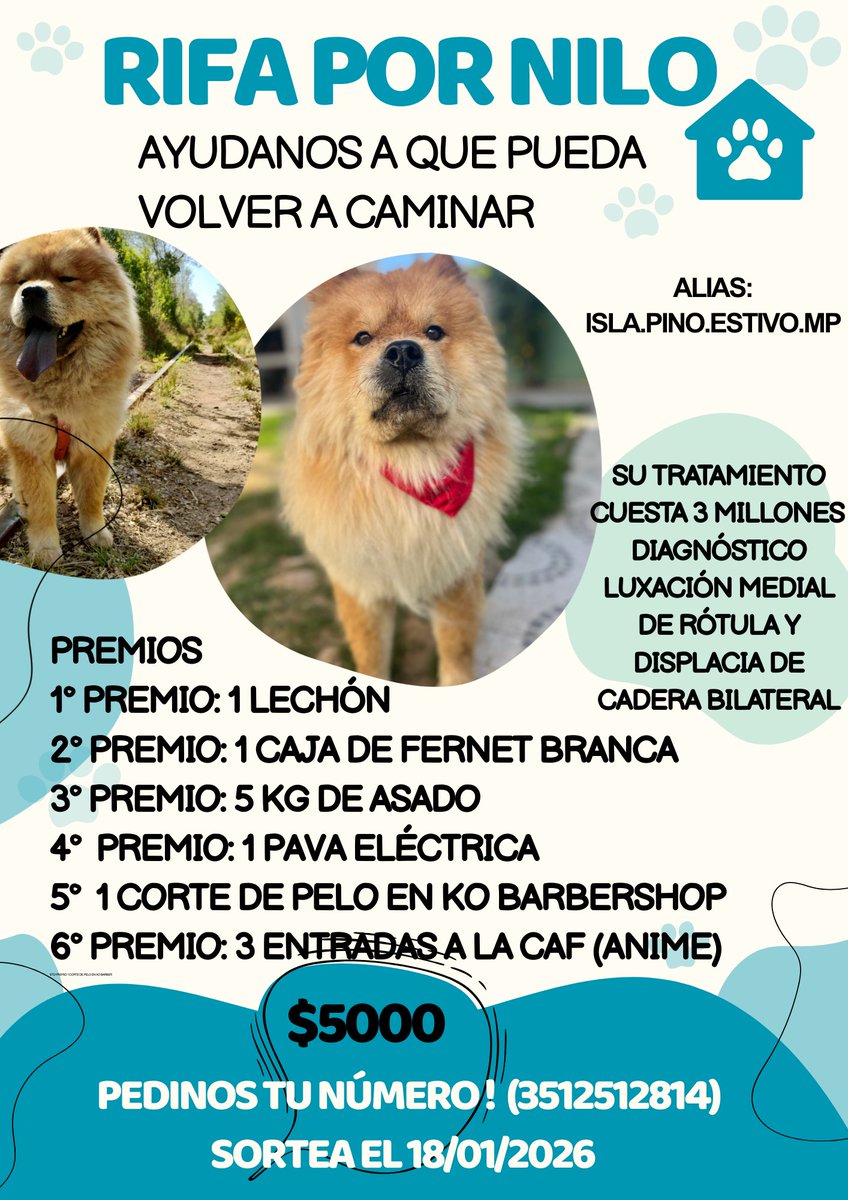 Estoy vendiendo rifas para poder operar a mi perrito Nilo♥️