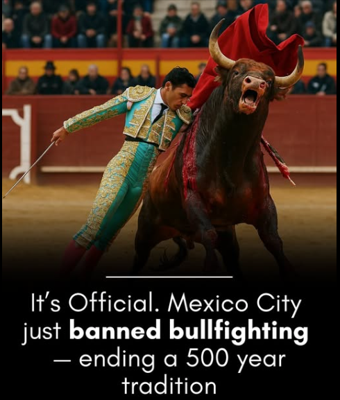 Rainmaker1973's tweet image. After 500 years, Mexico City has outlawed bullfighting.

Mexico City has just ended one of the world’s oldest and most polarizing traditions. In a landslide 61–1 vote, lawmakers passed a sweeping ban on killing bulls and using sharp weapons in the ring, effectively shutting down…