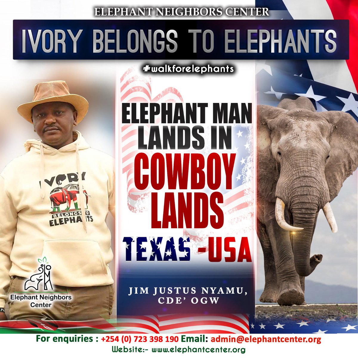 Ivory Belongs to Elephants tweet media