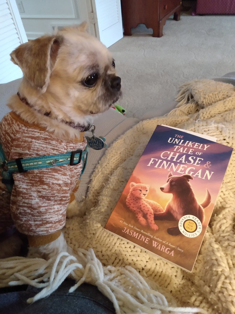 Now Leo wants to be friends with a Cheetah, like Finnegan in Warga's <a href="/MacKidsBooks/">MacKids Books</a>  THE UNLIKELY TALE OF CHASE AND FINNEGAN (3/3/26). Thanks, <a href="/yabookscentral/">YA Books Central</a> !