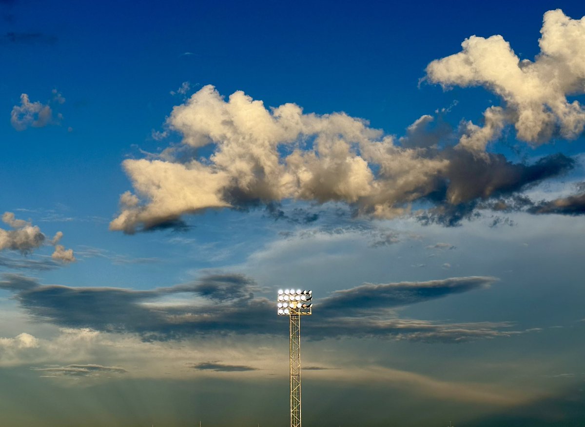 Todd Berridge tweet media