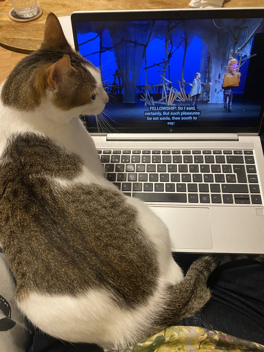 clitemnestras's tweet photo. tarde de sabado: viendo teatro medieval inglés con mi gato https://t.co/XKrPKeOOlW