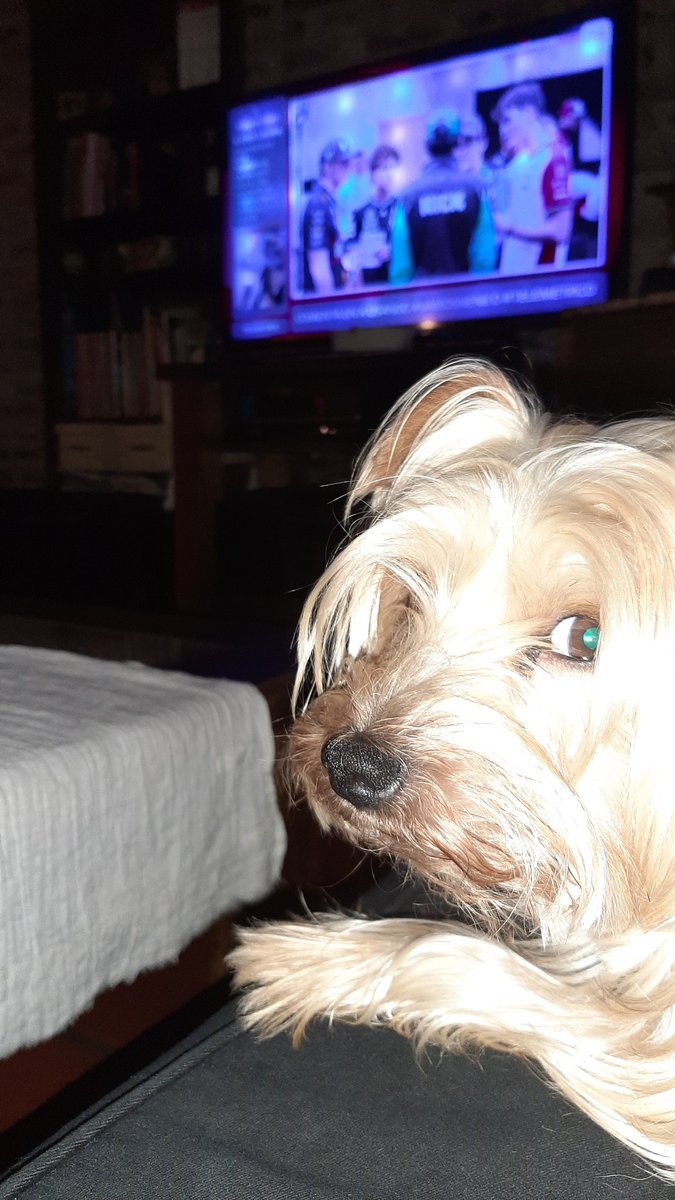 fernandofredes's tweet photo. Aca con mi fiel amigo paco, esperando la qualy
#vamosnene 
#telemetrico https://t.co/2tRSRWfH5x