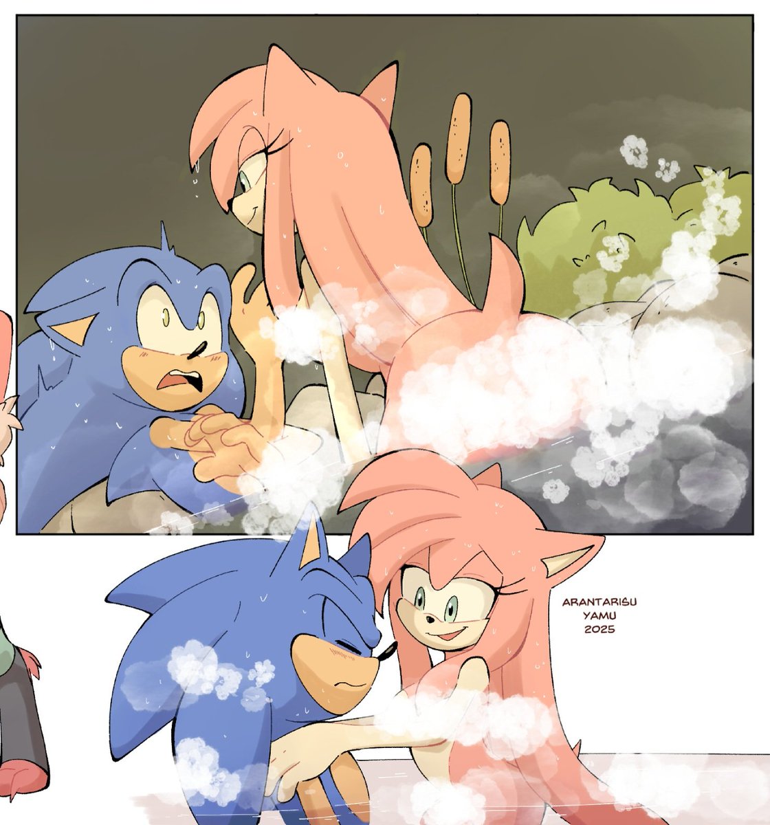 Arantarisu_Yamu's tweet photo. Hot Spring!!
She doesn't know about Privacy😭 

#SonicTheHedgehog #SonAmy https://t.co/NbmJ56TS2E
