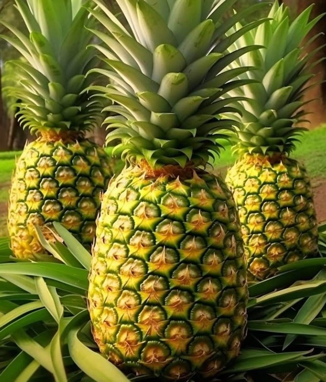 Sm1ley__Girl's tweet image. Good evening 

Can you identify the fruit name?