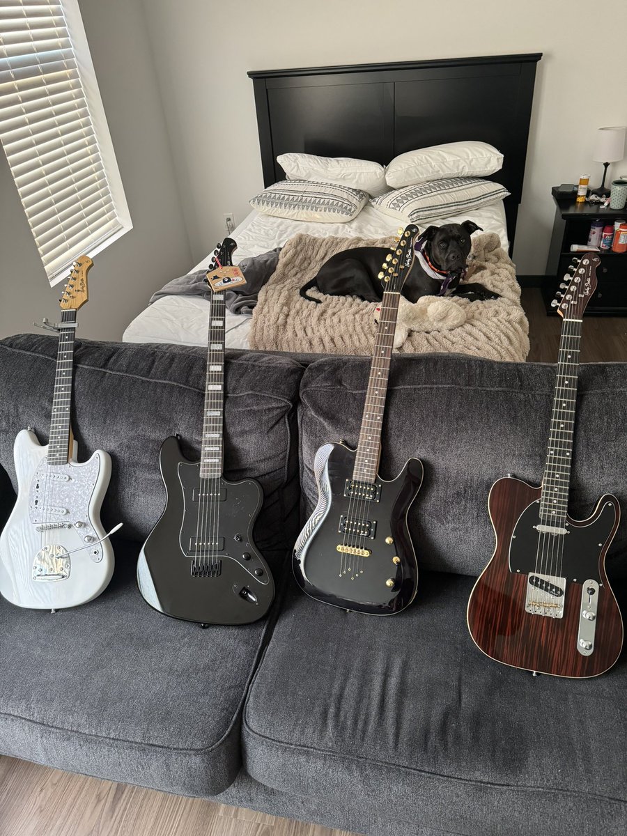 The guitars used to record my parts on LP2!

Doing a raffle to give away the black one with the gold hardware at Hammy New Years, so be there!! $5 a ticket, &amp; every 5$ spent at the FBM merch table gets you another ticket🫡

Cokie not included 😝