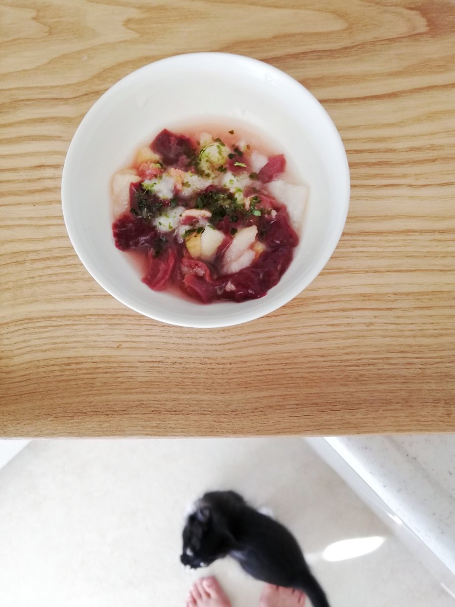 sakuramochi925's tweet image. ５年前のくーちゃん。
 plaza.rakuten.co.jp/clambake/diary… #r_blog #猫のいる幸せ