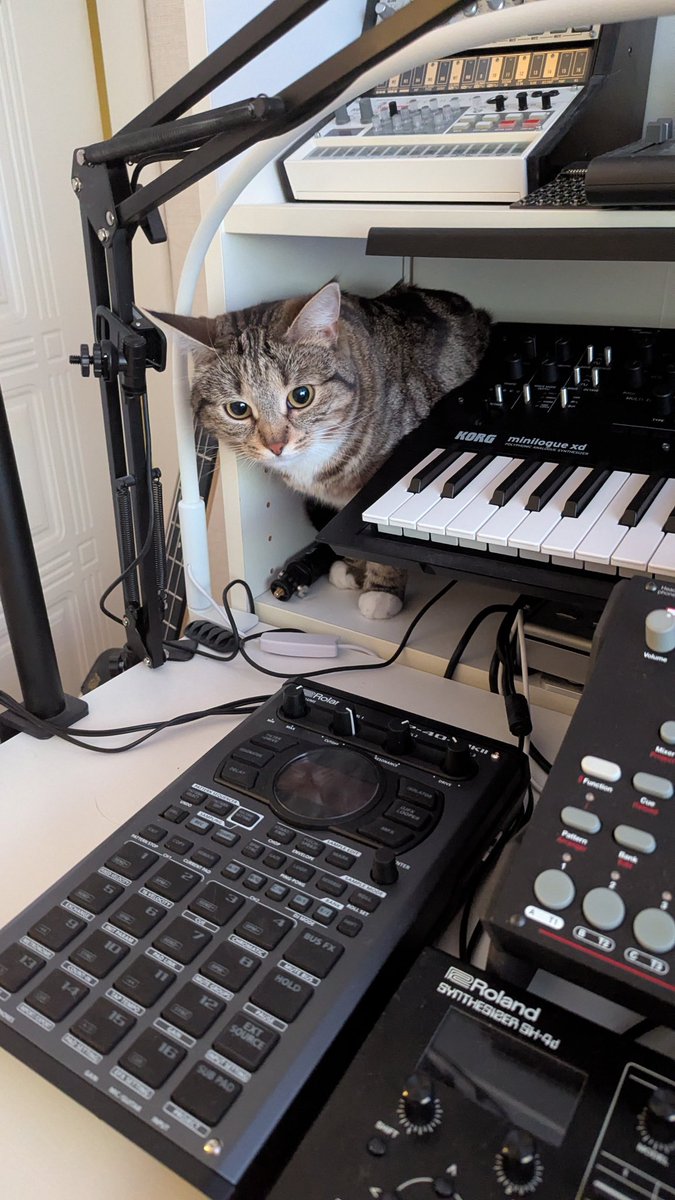 Стигматизация микроволновок (@ilyaorangee) on Twitter photo 