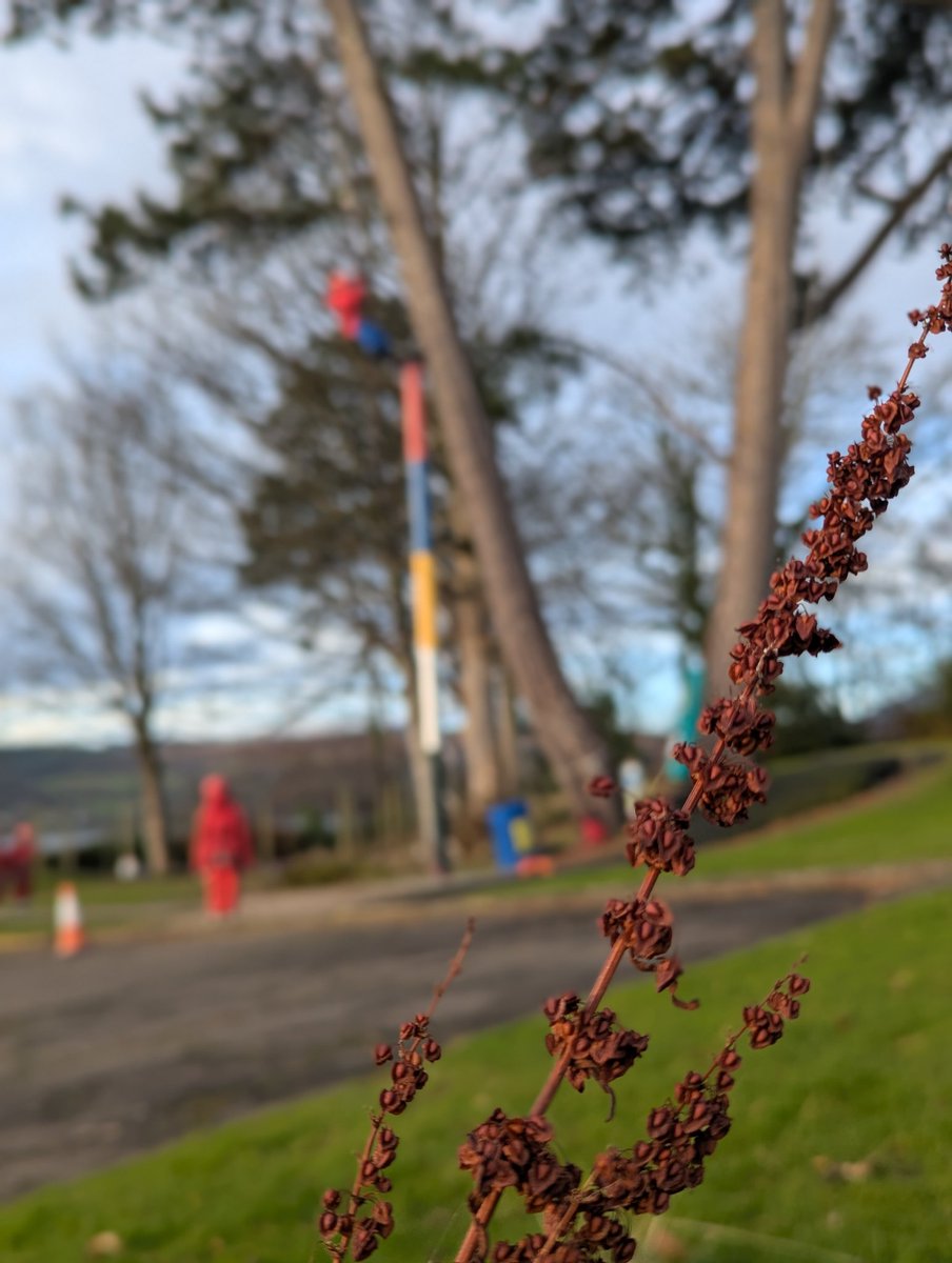 Some stills from the day #SaracenBV25