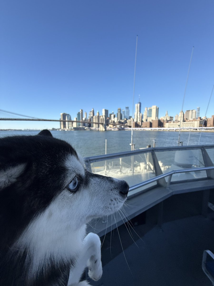 Andrew Yeung tweet media