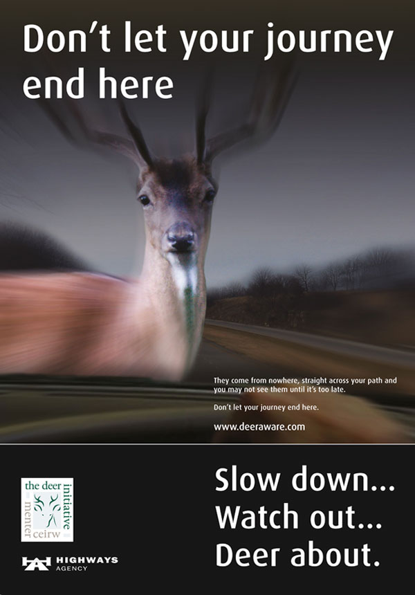 SWTrunkRoads's tweet photo. 🤔 Did you know? More than 70,000 deer are killed annually on UK roads! 🦌
Do you know how to avoid a collision with a deer? Learn more here 👉 https://t.co/sl8Fv5rFeV
@trafficscotland
#DeerAware #DriveSafe https://t.co/SNl7AQlrqF