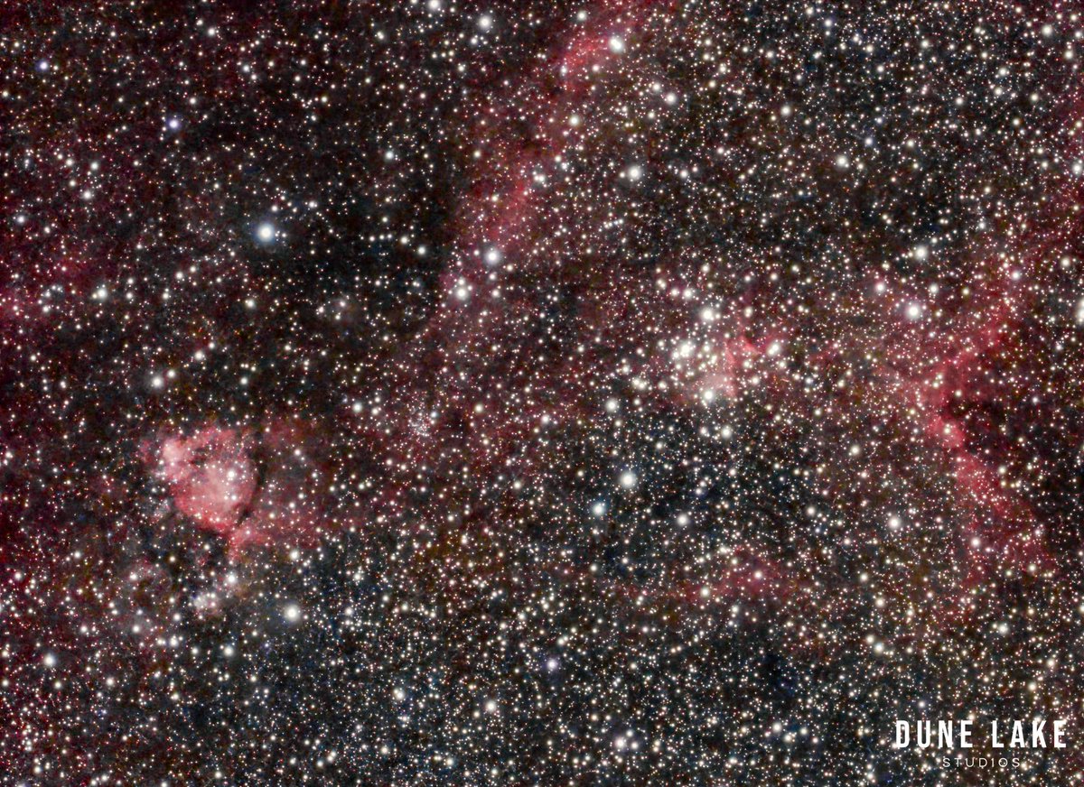 David Warren tweet media