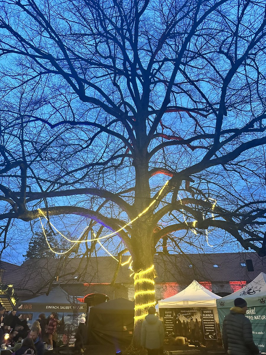 macroschema's tweet image. That’s how festivals are to celebrated

Laughter in the air

Just smell of joy and Glühwein 

I envy these people 

We may have an old civilisation but no culture

Our kids will never experience this vibe and beauty of festivals