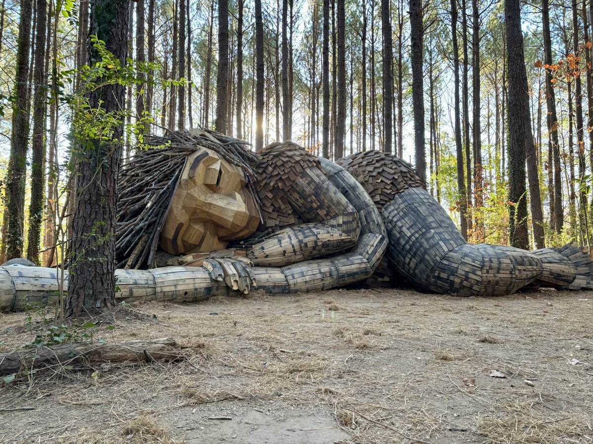 昨天和先生早起趕上 golden hour，去拍公園的森林精怪裝置藝術，周遭無人，拍照感覺很棒，不枉將近零度的氣溫出門