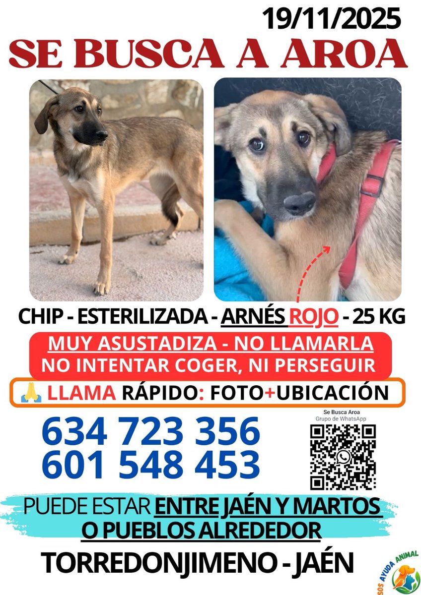 silvia mensegar (@silviamylo) on Twitter photo 