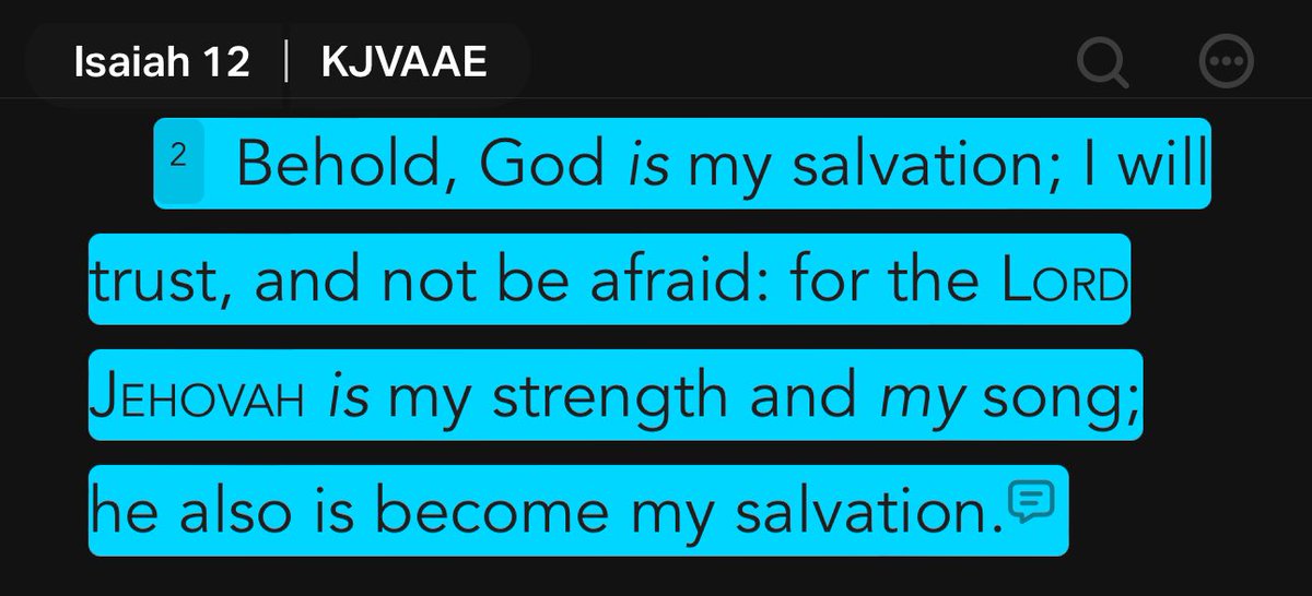 144Scripts's tweet image. VOTD:

Shabbat shalawam to the righteous among the 12 tribes of israel &amp;amp; the righteous among the natural gentiles who yield themselves to the Godhead and the righteous of the 12. 

Let’s dive 🏊🏿