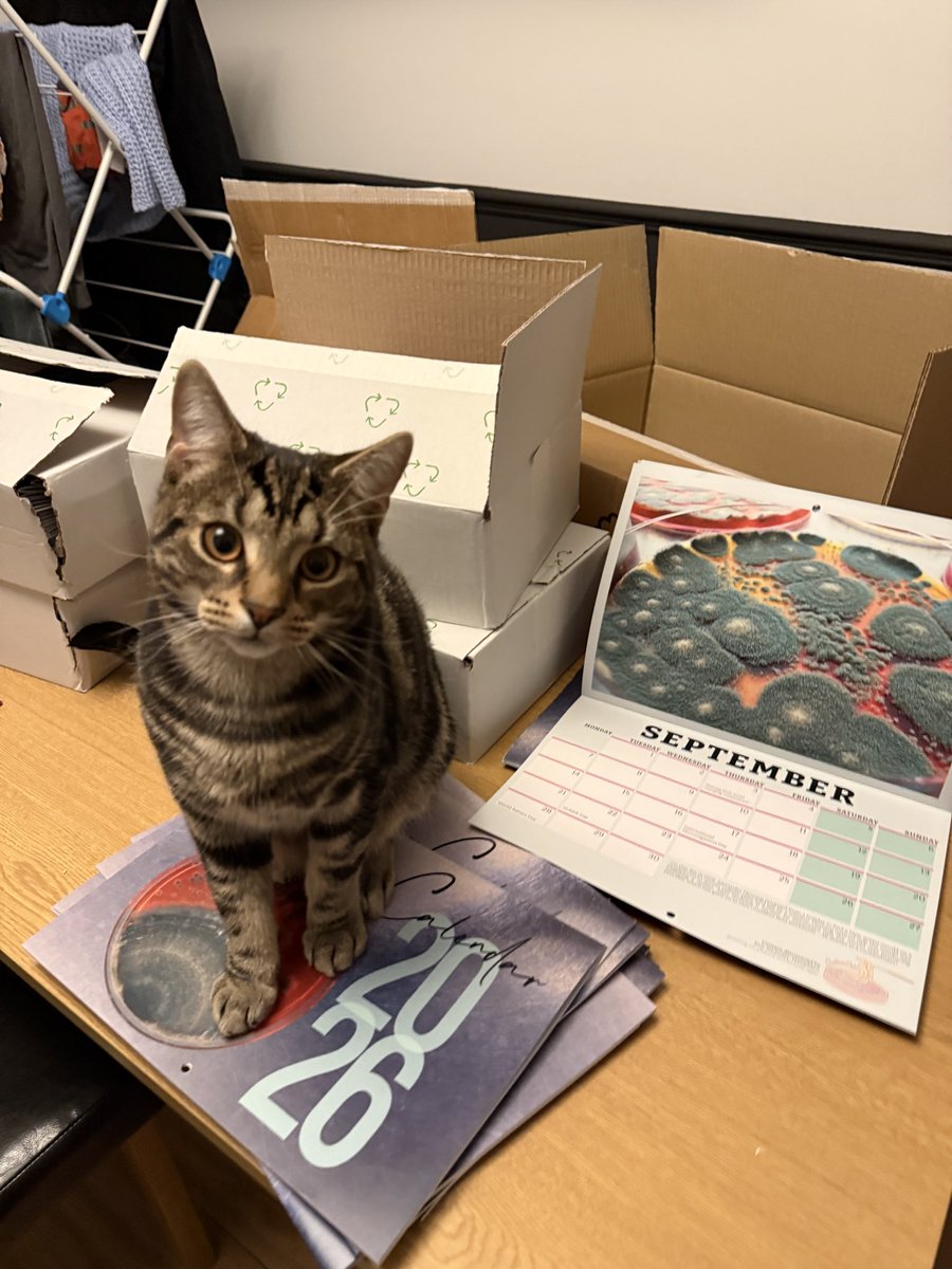 Contamination Club tweet media