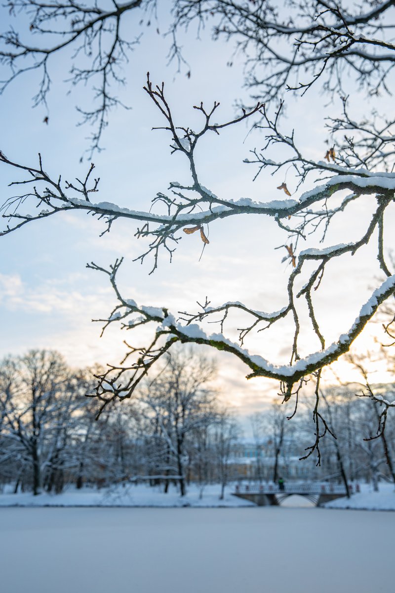 tsarskoyeselo's tweet image. 🇬🇧 Ozerki Ponds in the New Garden of the Alexander Park at Tsarskoe Selo
📷 Tsarskoe Selo, Katerina Novak
🇷🇺 Пруды «Озерки» в Новом саду Александровского парка в Царском Селе