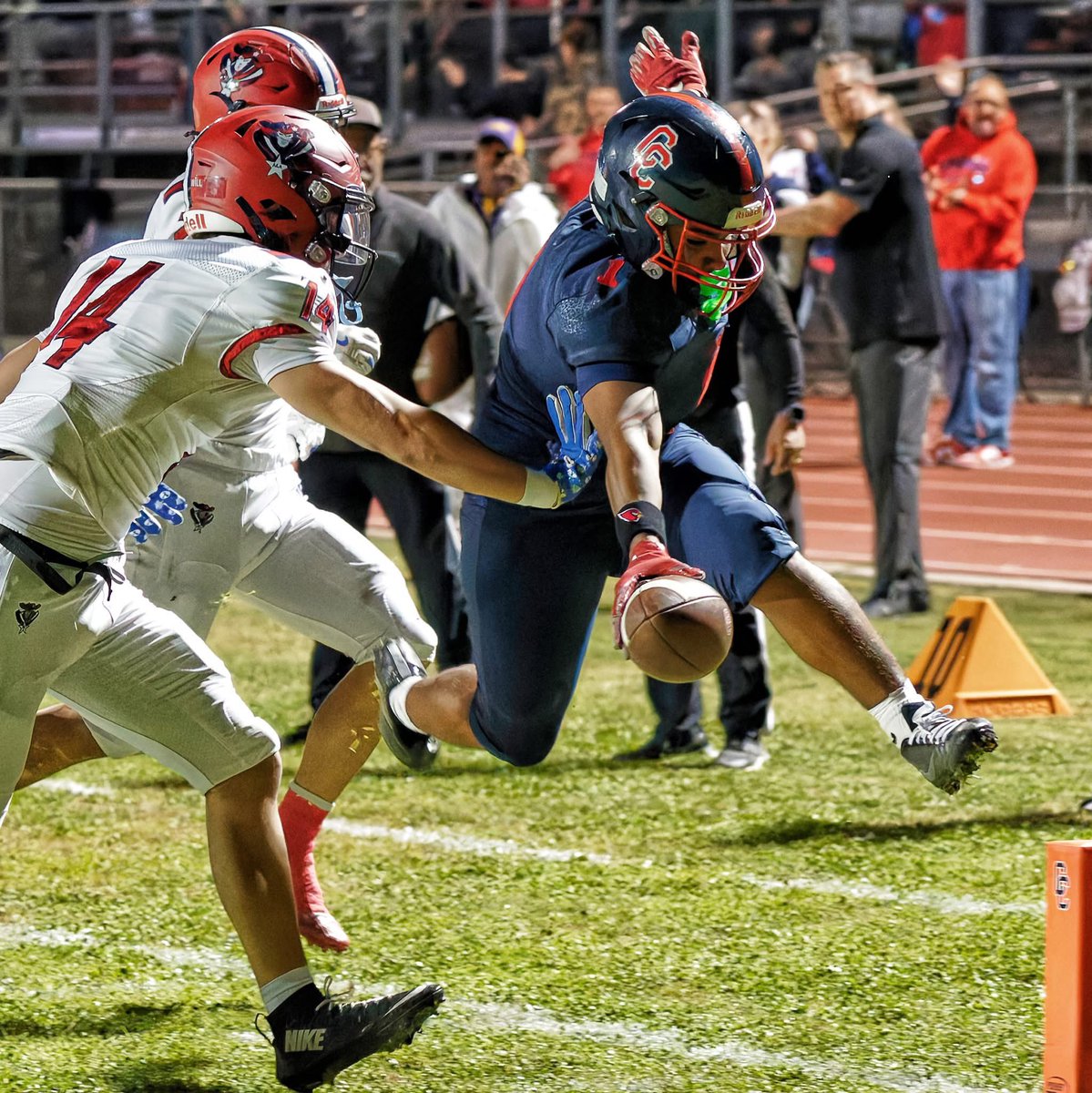 Picture Lady Photography LLC tweet media