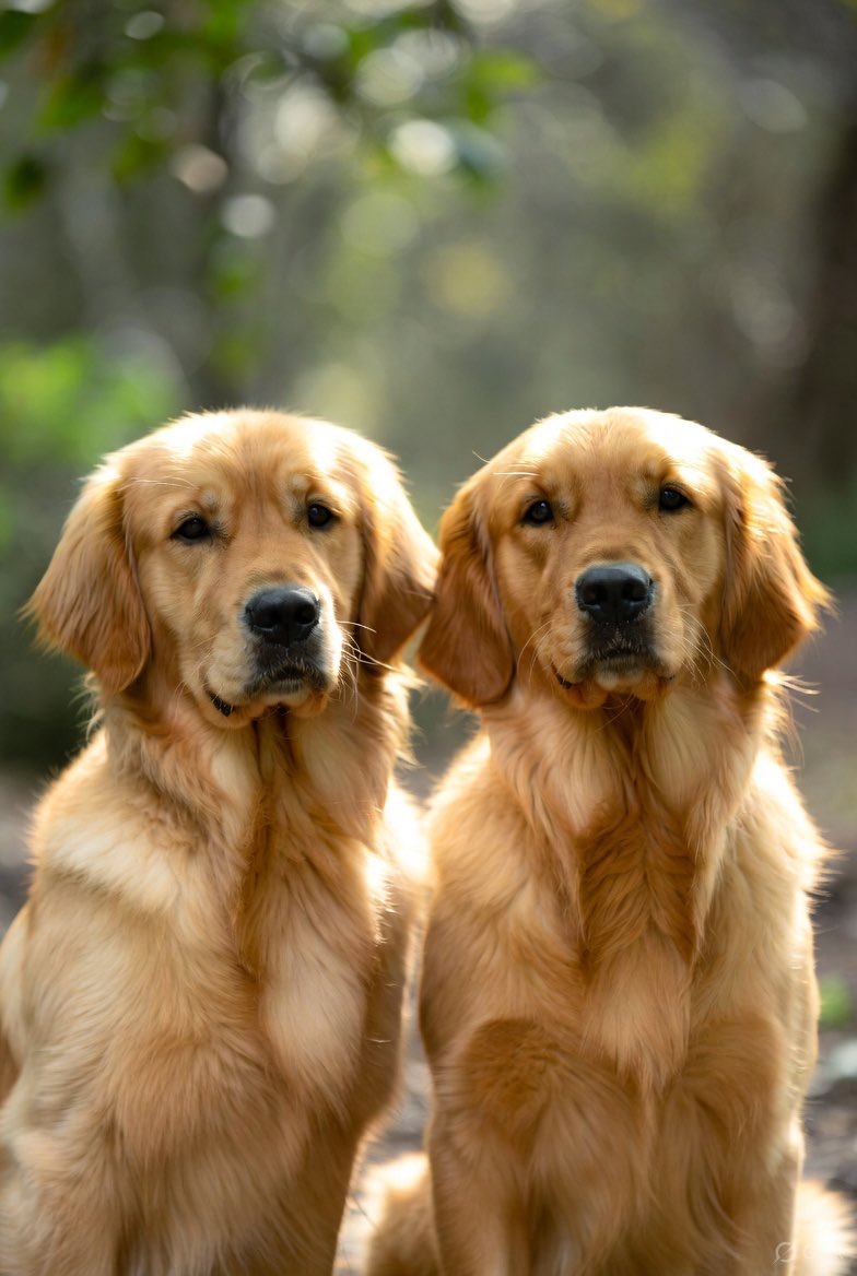 gregor1_m's tweet image. The CBT Coaching Approach Is All About How Your Thoughts and Beliefs Shape How You Feel and Act