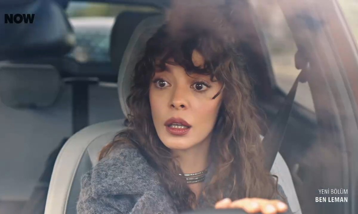 Dizi de üç beş tane erkek var bütün erkekleri özetlemişler
#benleman