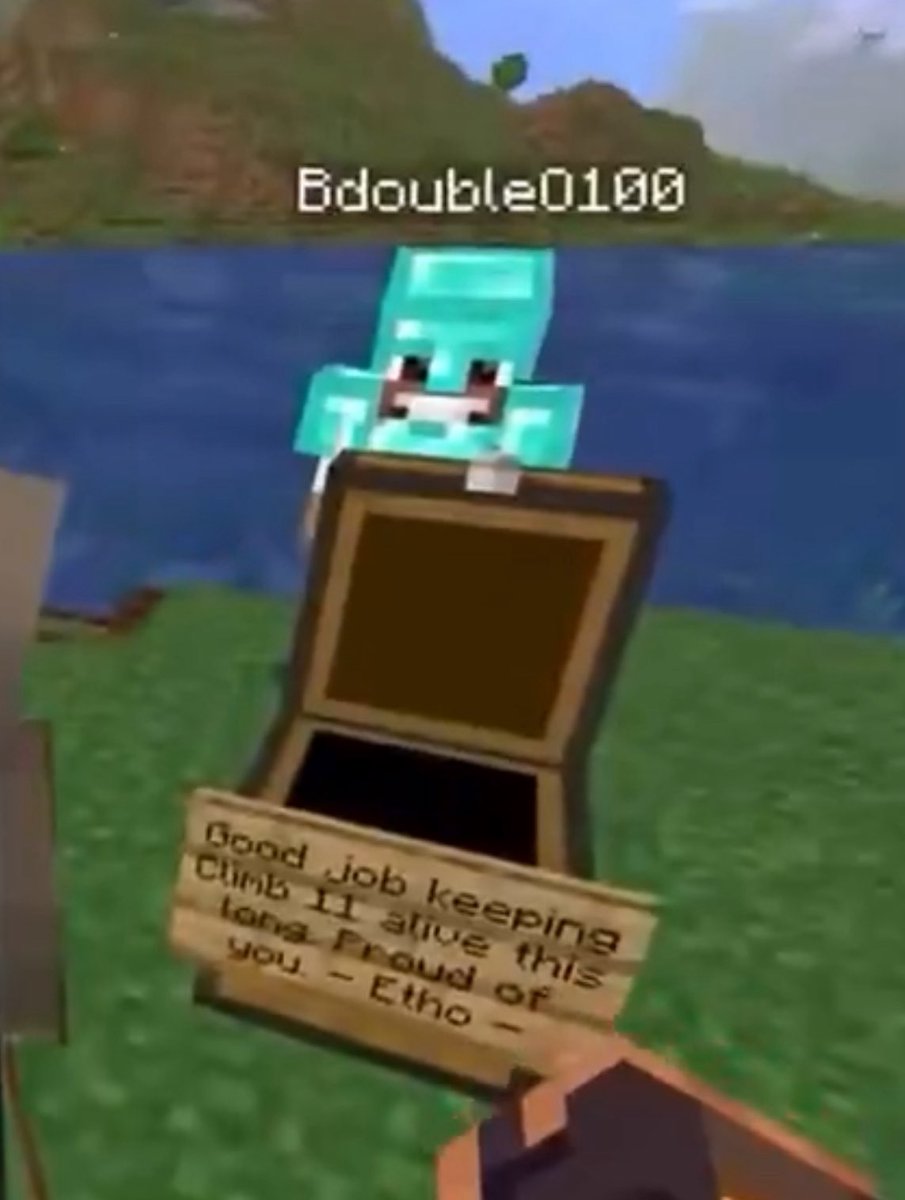 etho’s frog light gift message to bdubs 💗💗 my heart