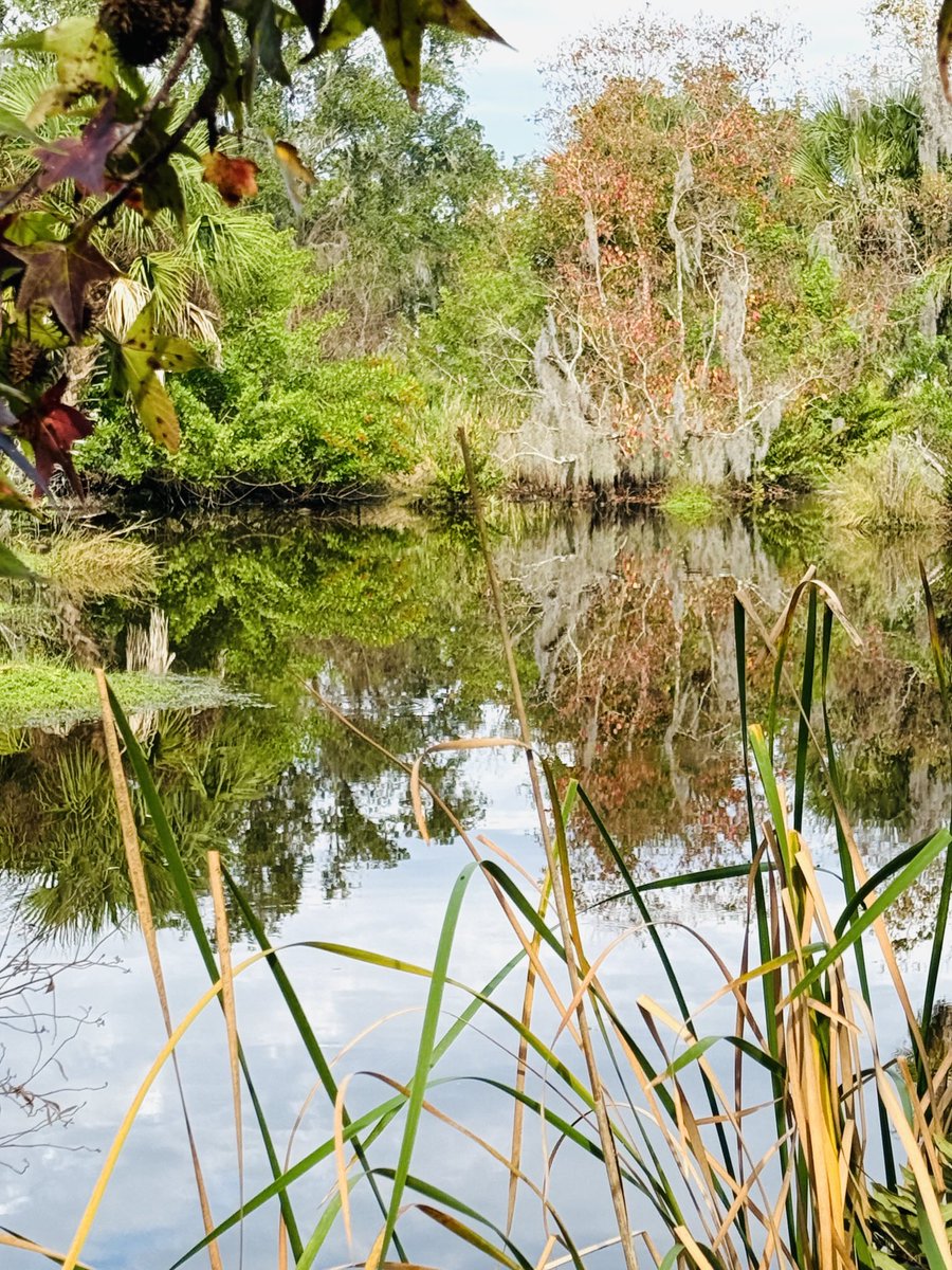pkguru10's tweet image. “Replace self-focus with selfless service to mankind”…

#Reflection #Randomthoughts 
#BackyardBeauty #iphonephotography #postcallblues #Nature #Selflove