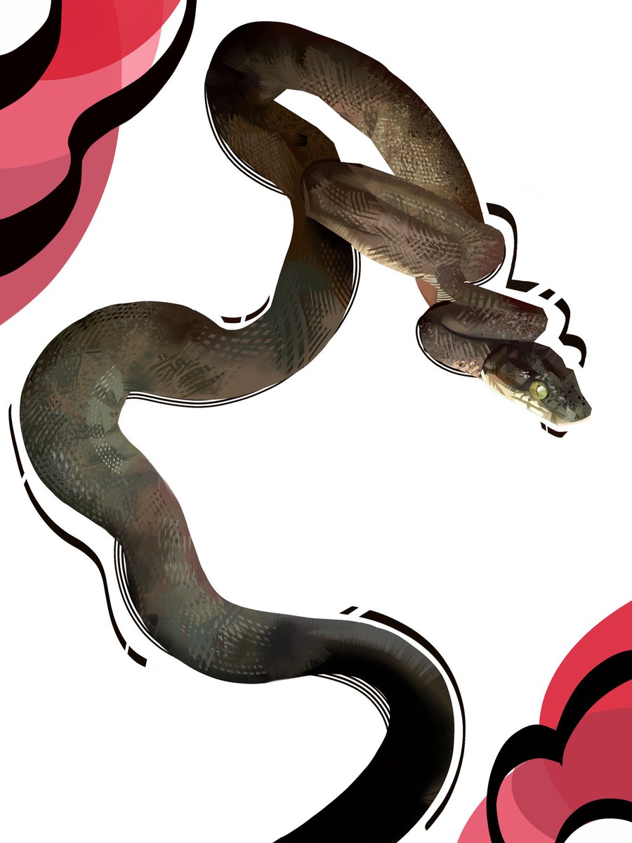 NateDHernandez's tweet image. Yes!!