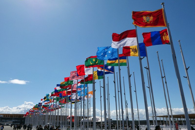 🐄ずんどこべろんちょ…🐏…♂ (@cowcow1215) / Posts / X