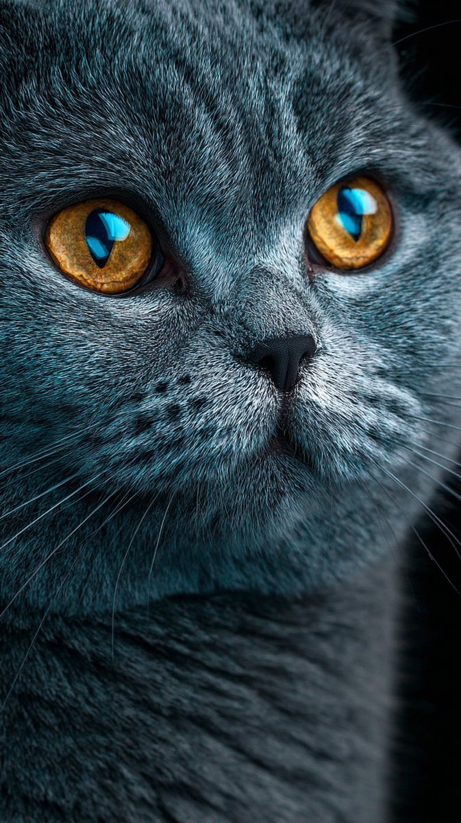 ♡さん　iPhone iPhone