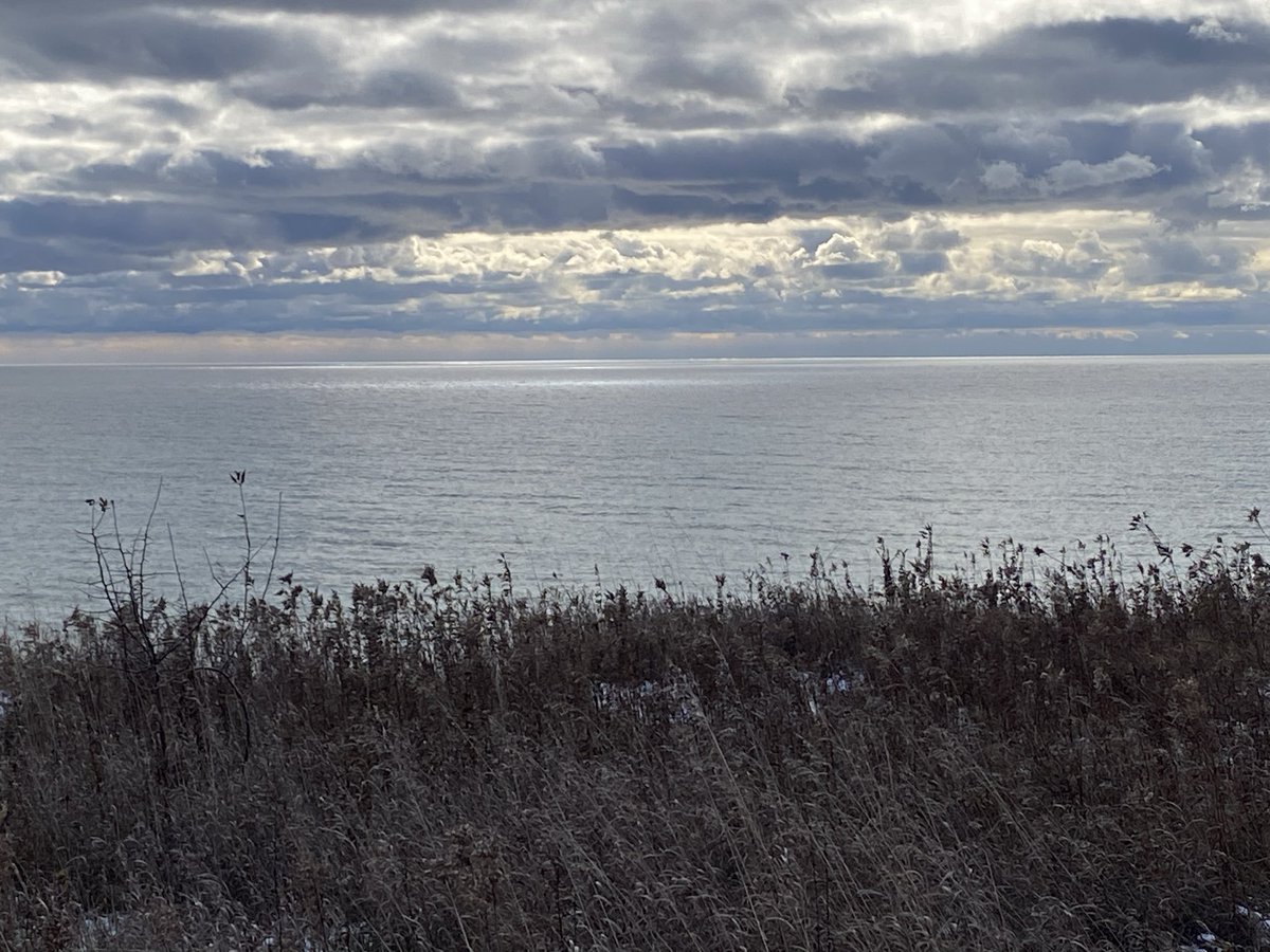 Good afternoon my wife and I started our morning looking after grandpuppy. Nice winter walk.