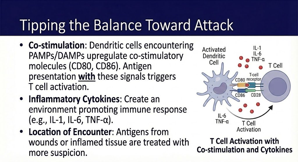 DeryaTR_'s tweet image. Nano Banana Pro creates amazing slides. But currently, we can’t export them as PPT files, which would be a great feature. Is there any way we can have this? @joshwoodward @OfficialLoganK @GeminiApp @NanoBanana