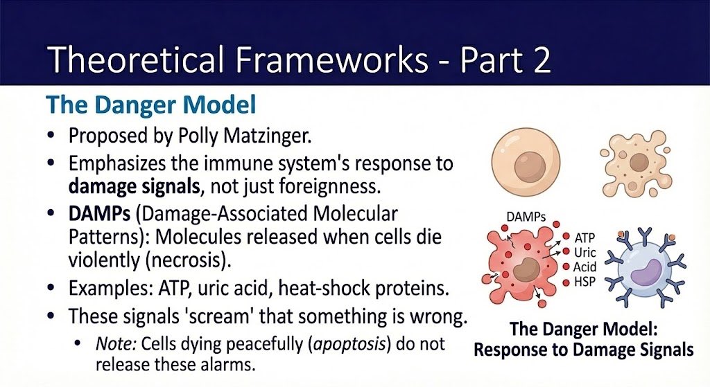DeryaTR_'s tweet image. Nano Banana Pro creates amazing slides. But currently, we can’t export them as PPT files, which would be a great feature. Is there any way we can have this? @joshwoodward @OfficialLoganK @GeminiApp @NanoBanana