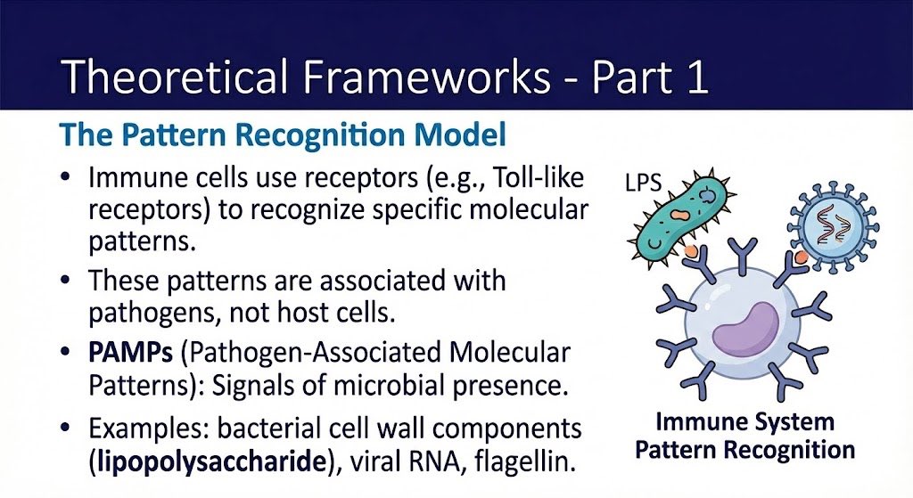 DeryaTR_'s tweet image. Nano Banana Pro creates amazing slides. But currently, we can’t export them as PPT files, which would be a great feature. Is there any way we can have this? @joshwoodward @OfficialLoganK @GeminiApp @NanoBanana