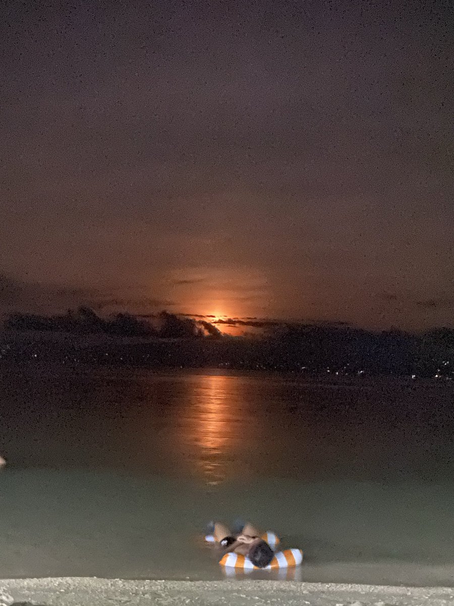 chaannixxx's tweet image. we deserve this ✨