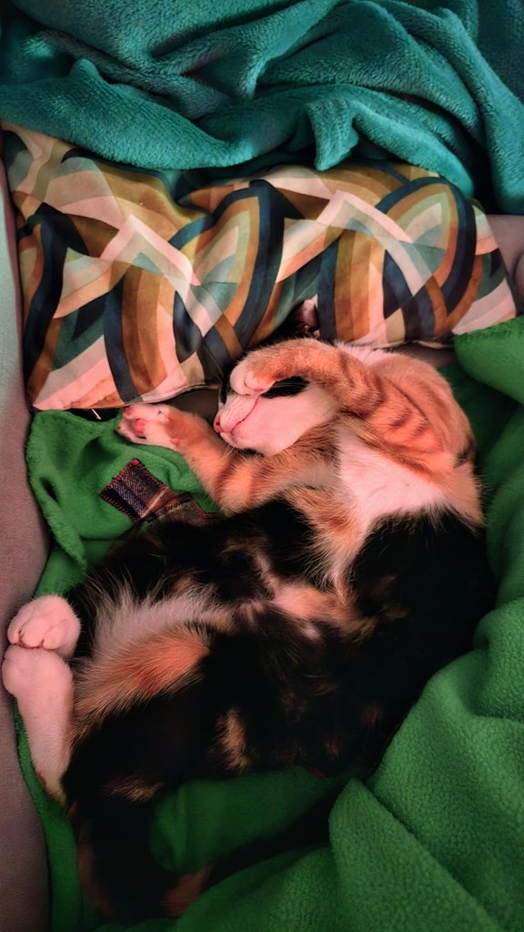 positivegio's tweet image. Che le vuoi dire? 🌸