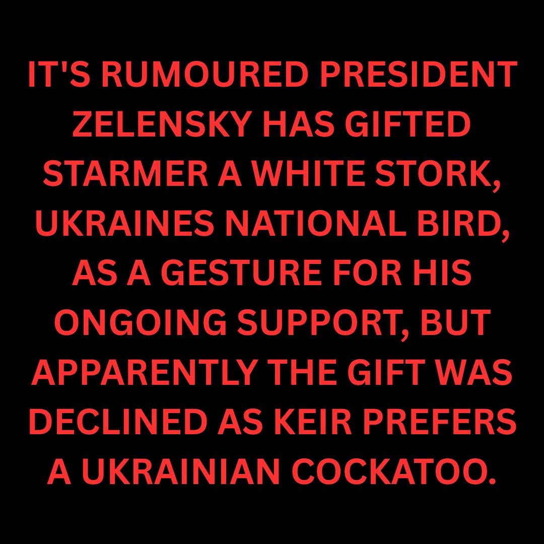 Imagine, my surprise 😮 🫢....