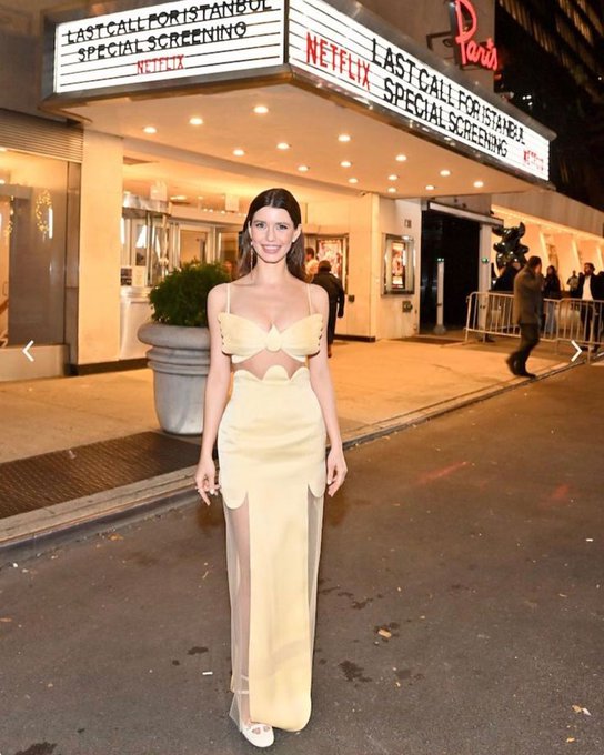 حالة بيرين سات الأكثر حزنًا، ونجوم آخرون يخافون من الجوز والأرز باللبن والتفاح. تعرفوا على أغرب أنواع الفوبيا لدى المشاهير الأتراك من خلال 