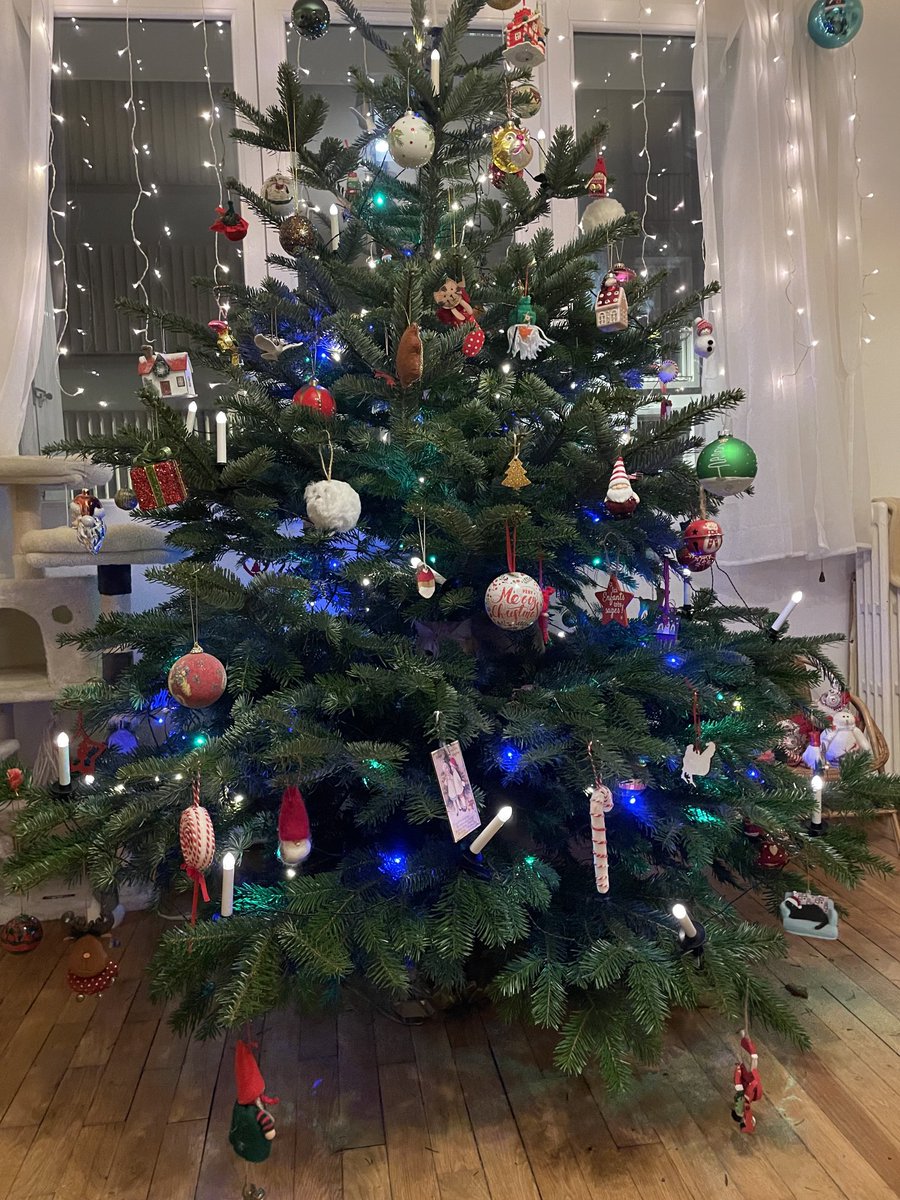 Elle veut plus sortir