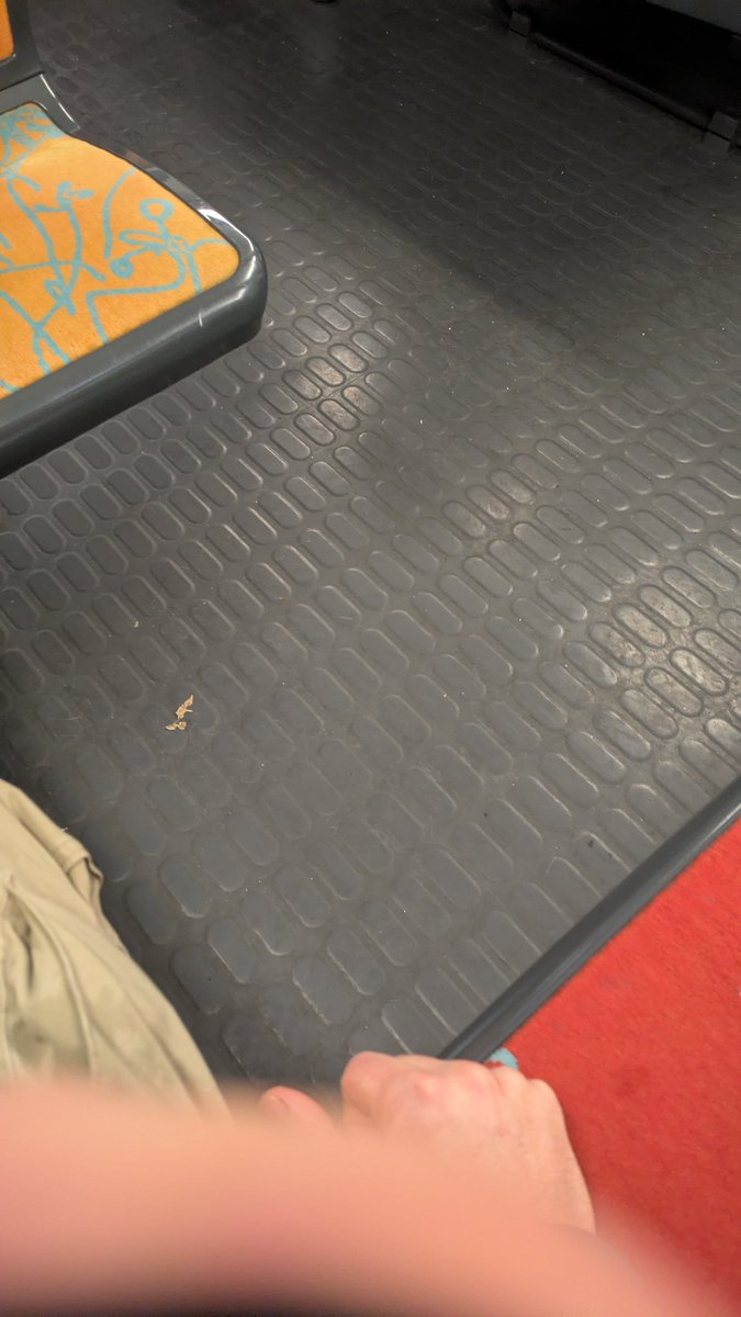 Libéré délivré 🥹🥹🎉🎉🎉