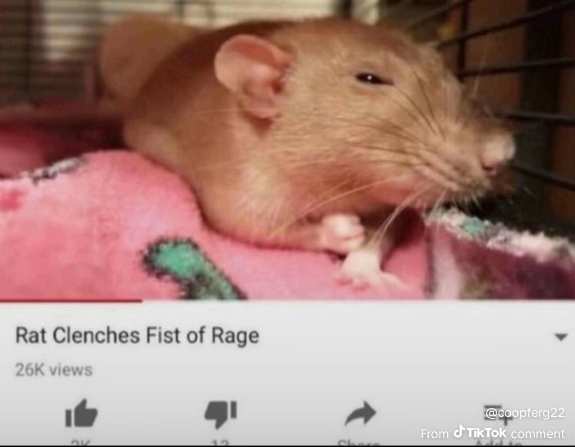 what does everyone clip with??? my clips come out so laggy