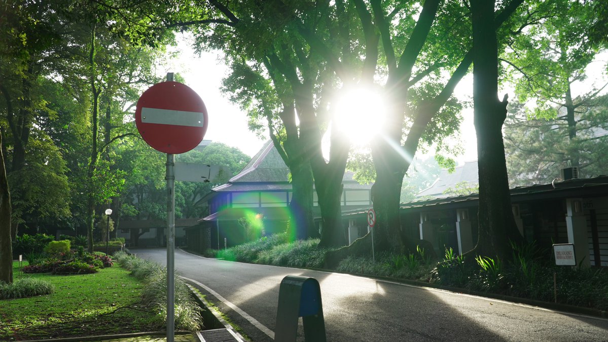 hemoglo0bin's tweet image. the sun was a paid actor