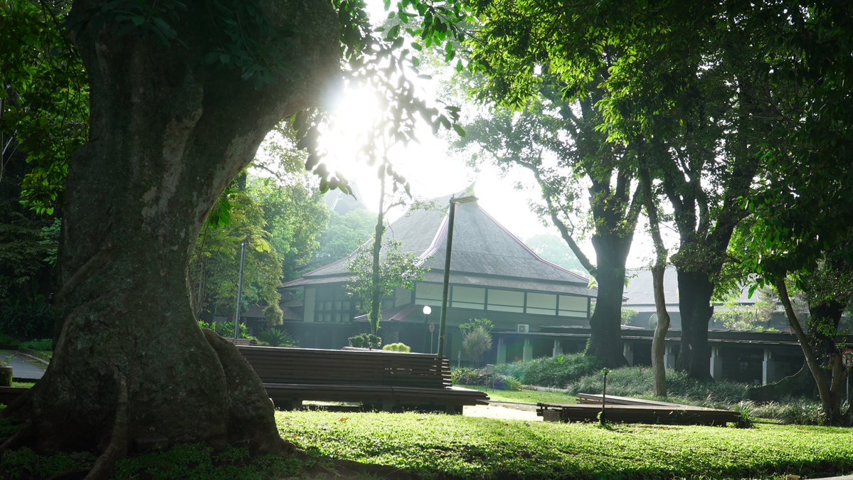 hemoglo0bin's tweet image. the sun was a paid actor