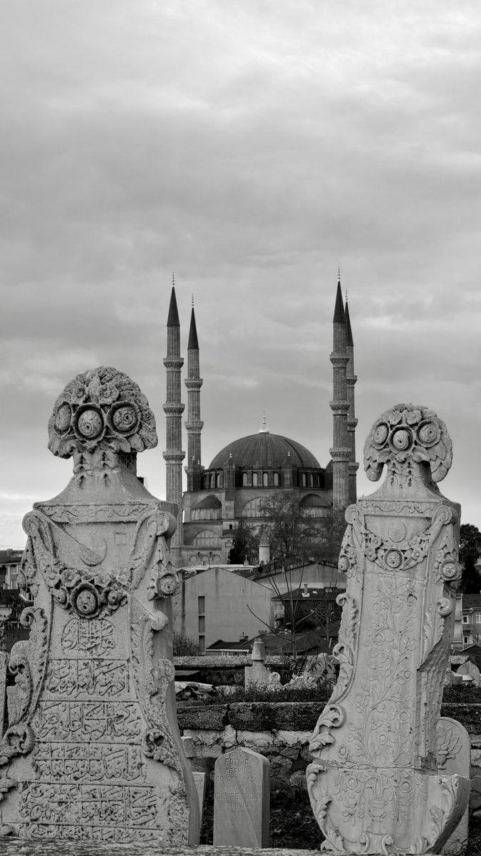 bulbulous's tweet photo. Edirne 💚 https://t.co/uCcQyr2qVm