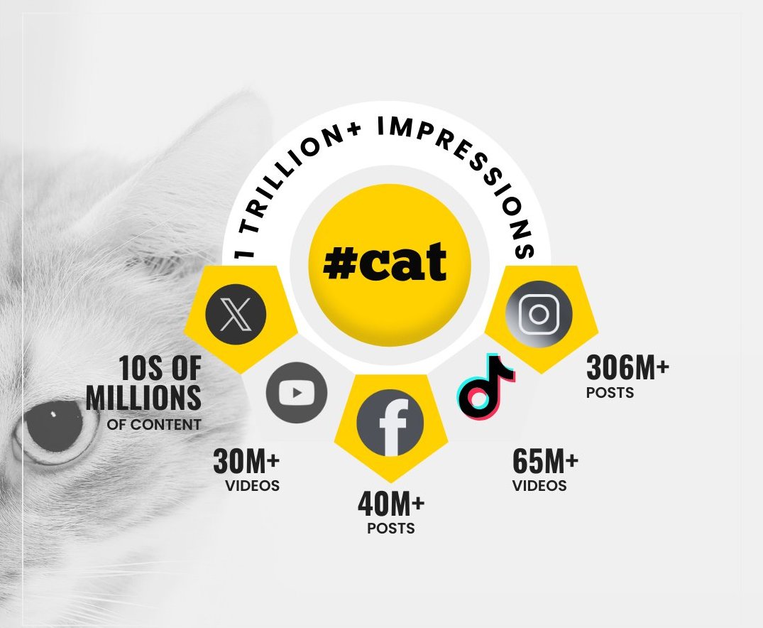 ofthegoldenland's tweet photo. This is the next runner

$TIKTOK gains diversified to $CAT

#CAT  

CA: 
BxBmLazgUME6ah27Yjy44JgqUMZSzinUWrEiab2tpump  

#cat #mew #mask #nub #tiktok #cwh #glob #popcat #meow #purr #maneko #longcat #catjam #mog #aura #cate #roar #michi #mochi #sc #suncat #boba #ginnan #mini #nyan #waffles #catcoin #tiktok #davinci #billy #buttcoin #bullish #kabuto #sachi #fuckcoin #sexcoin