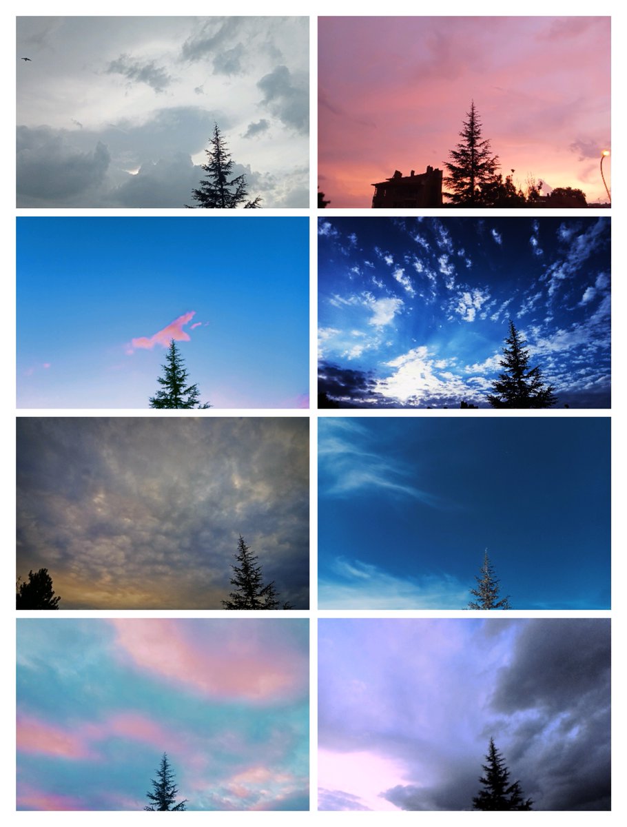 ydagdelen2's tweet image. #nature #tree #sky #cloud