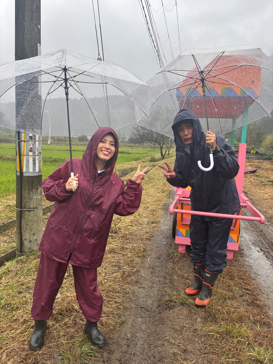 kandaaika55's tweet image. 【#神田愛花 出演情報📺】

このあと12:29からテレビ大阪にて放送の
『発見!!食遺産』に出演します🙌

今回は京都府・南丹市美山町にて絶品さつまいもレシピをご紹介します🍠

ぜひご覧ください💁🏻‍♀️

🔗 tv-osaka.co.jp/ip4/syokuisan/

#神田の裏側 #発見食遺産