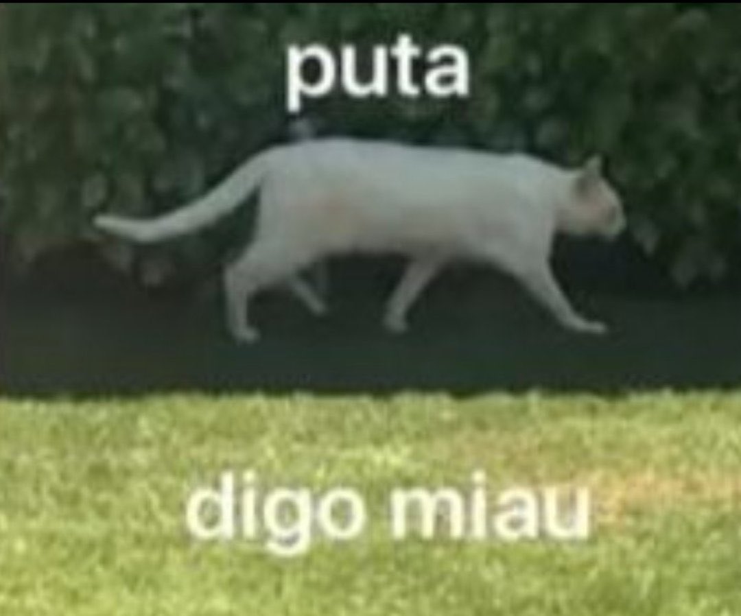 judithfifa's tweet image. 